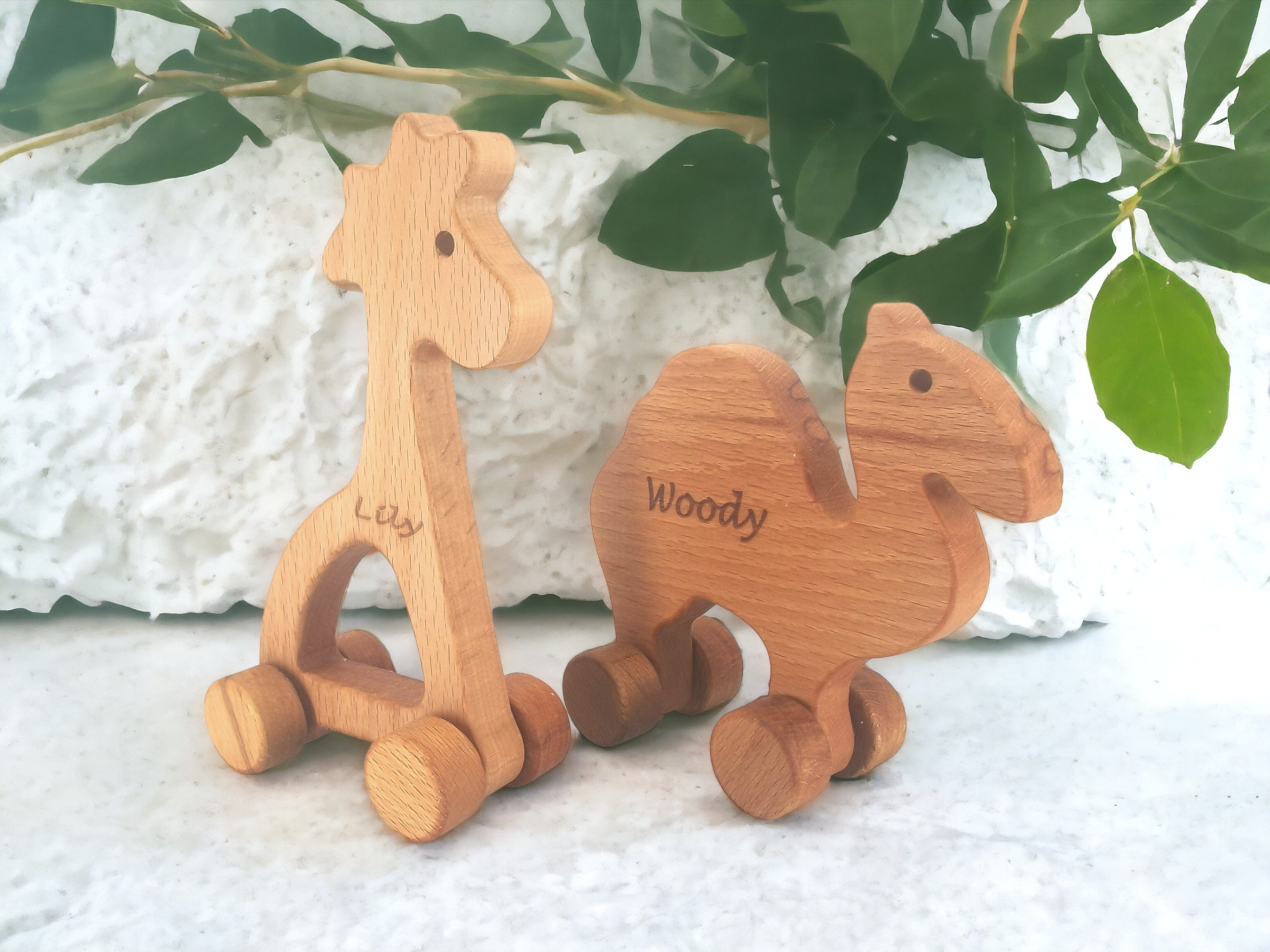 TİNY & LUNGO