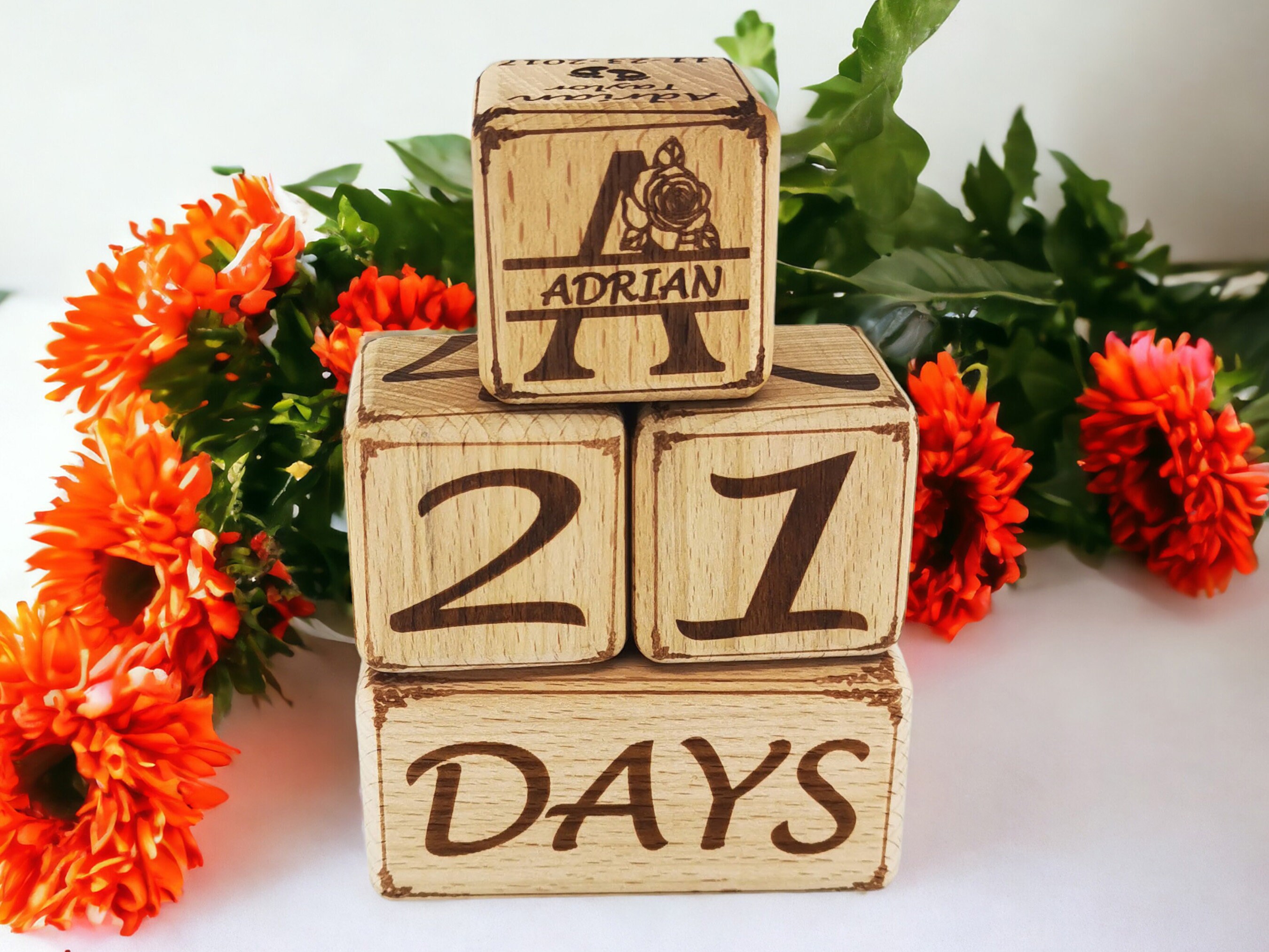 Personalized Photo Wooden Milestone Blocks 