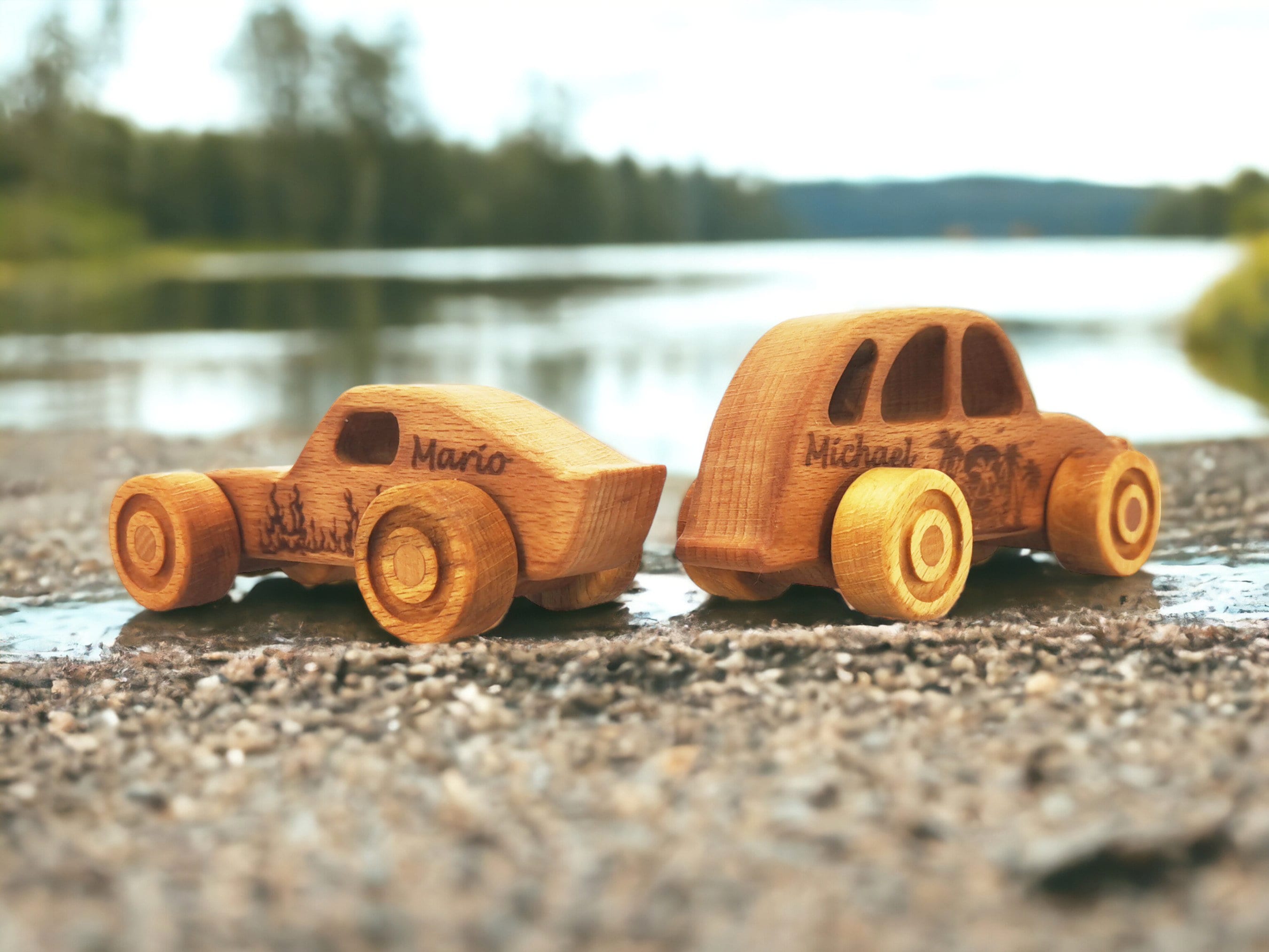 ’’SUPERBIRD & BEETLE’’