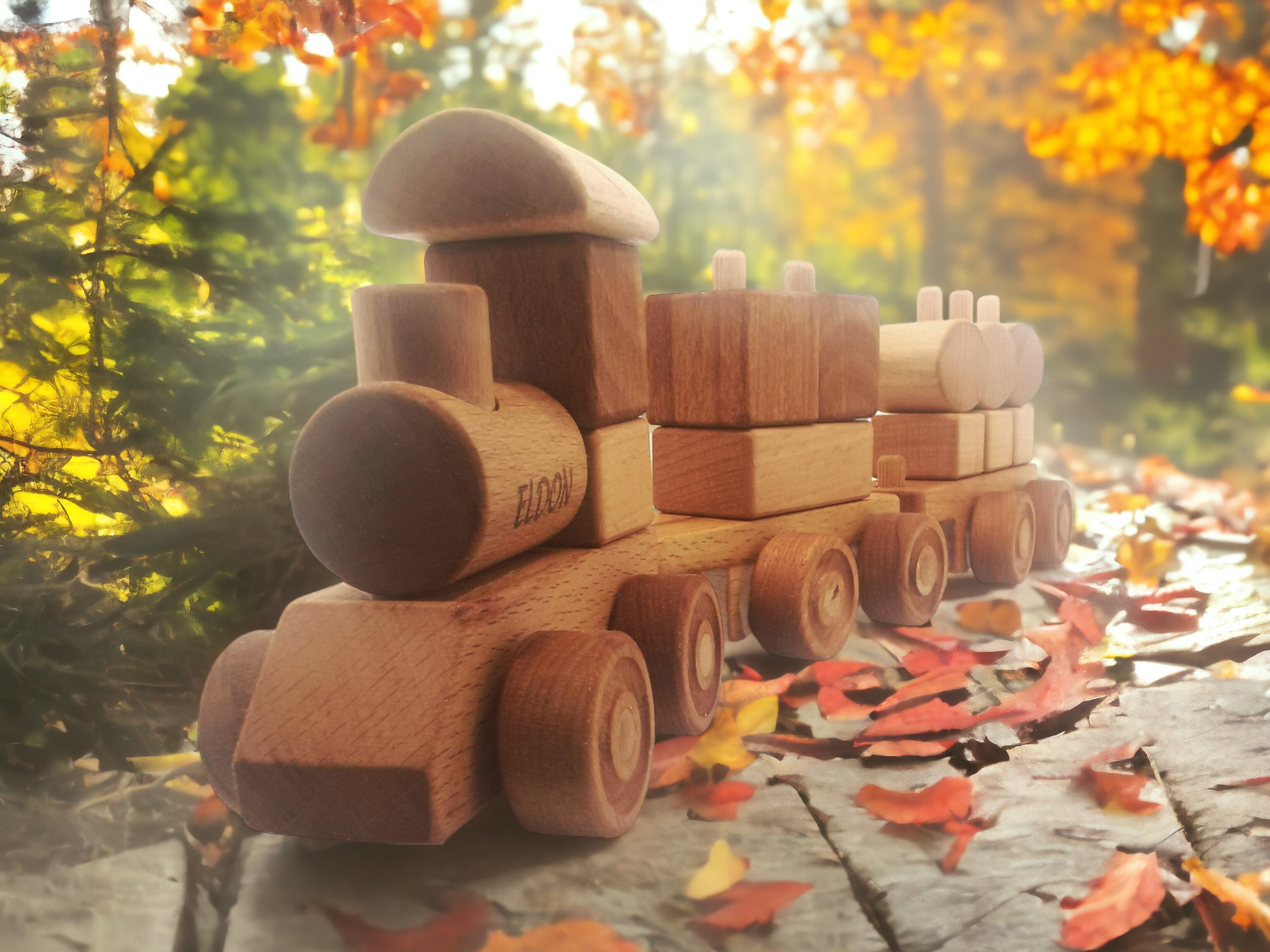 ’’ PUZZLE TRAIN’’