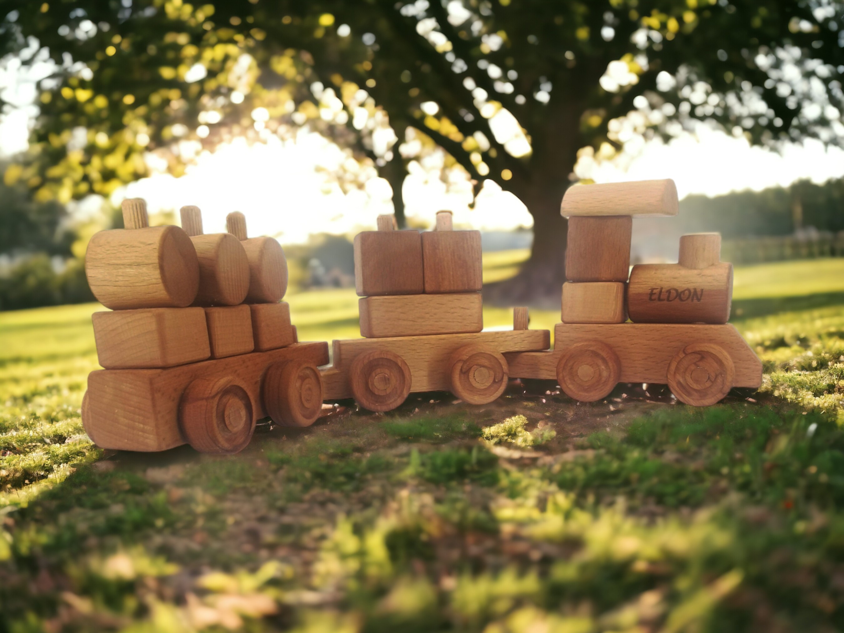 ’’ PUZZLE TRAIN’’