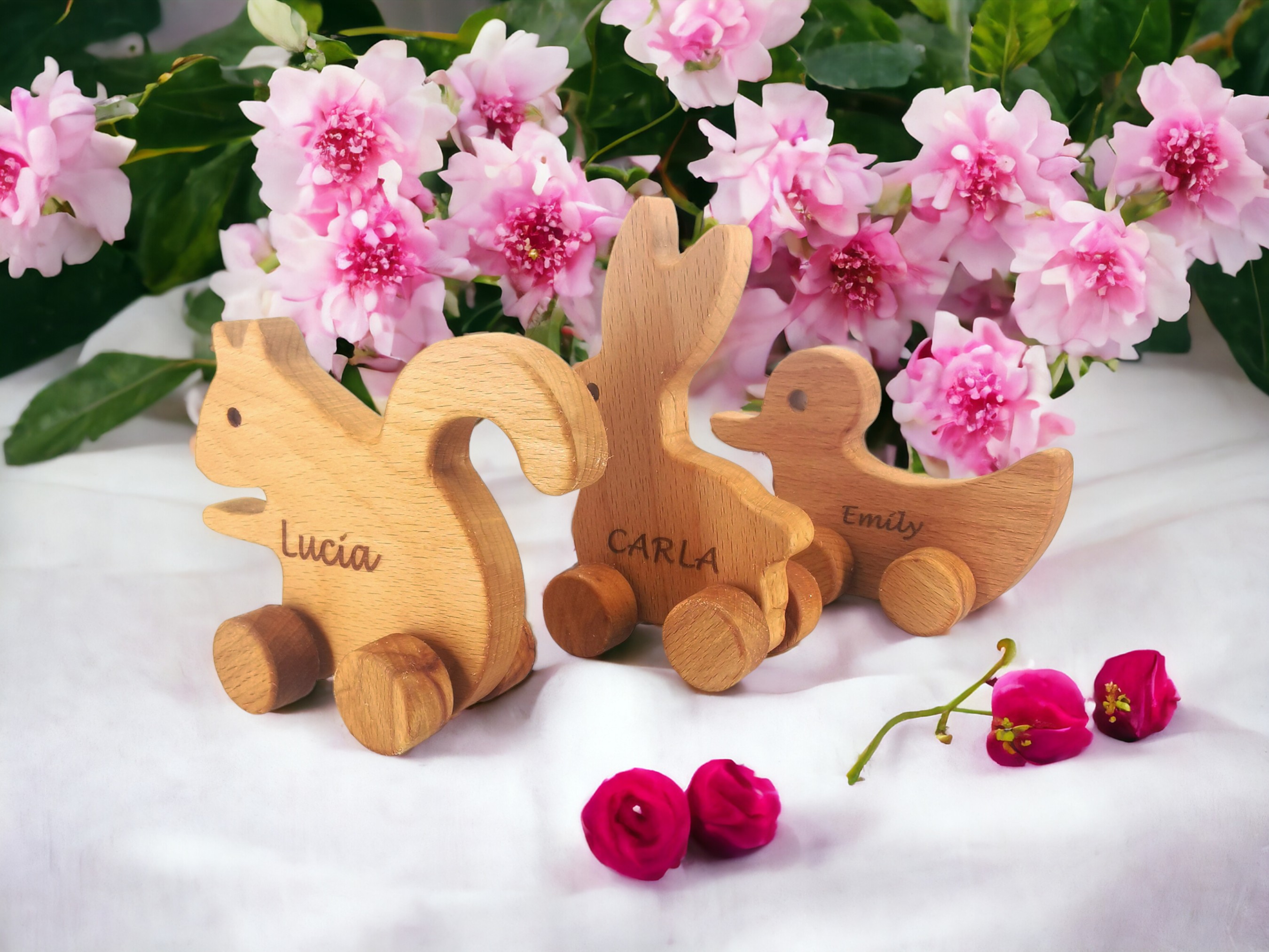 BELLISIMO & BELLUS & BONITO