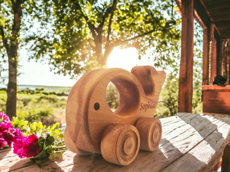 Personalized Wooden Toy Fish on Wheels