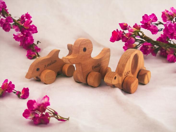 Wooden Toy Duck Dolphin and Turtle