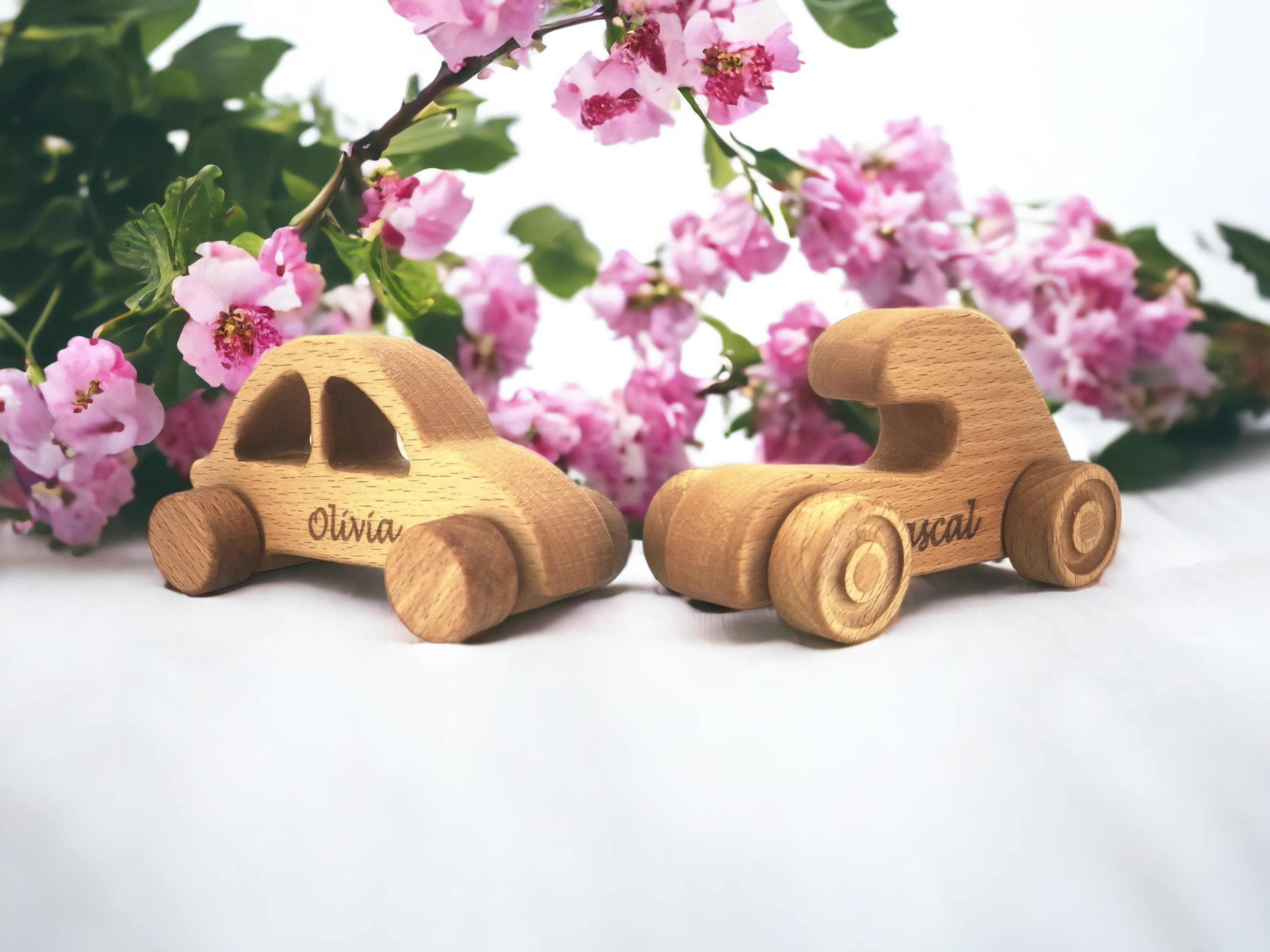 ’’FANCY & VELOCE’’